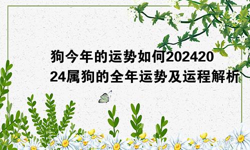 狗今年的运势如何20242024属狗的全年运势及运程解析