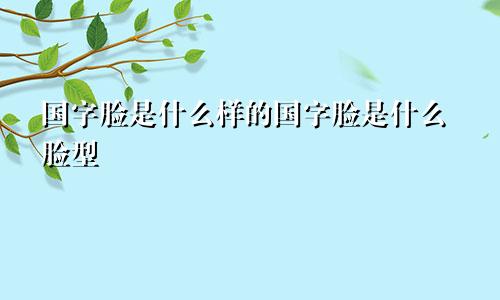 国字脸是什么样的国字脸是什么脸型