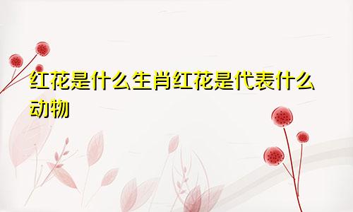 红花是什么生肖红花是代表什么动物