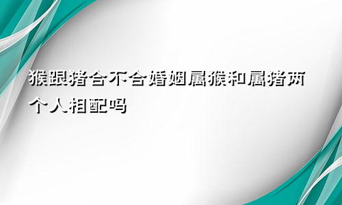 猴跟猪合不合婚姻属猴和属猪两个人相配吗