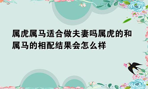 属虎属马适合做夫妻吗属虎的和属马的相配结果会怎么样