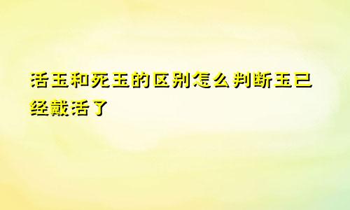 活玉和死玉的区别怎么判断玉已经戴活了