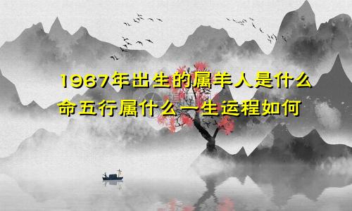 1967年出生的属羊人是什么命五行属什么一生运程如何  