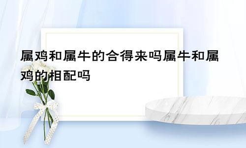 属鸡和属牛的合得来吗属牛和属鸡的相配吗