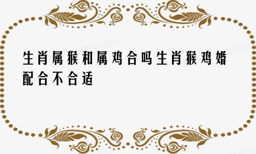 生肖属猴和属鸡合吗生肖猴鸡婚配合不合适