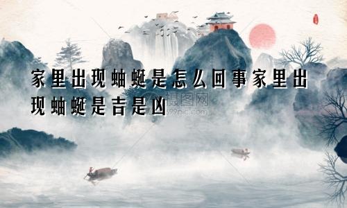 家里出现蚰蜒是怎么回事家里出现蚰蜒是吉是凶