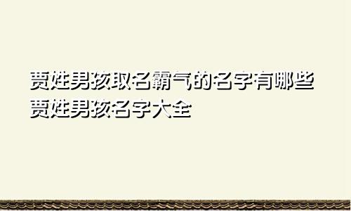 贾姓男孩取名霸气的名字有哪些贾姓男孩名字大全