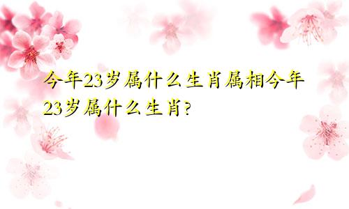 今年23岁属什么生肖属相今年23岁属什么生肖?