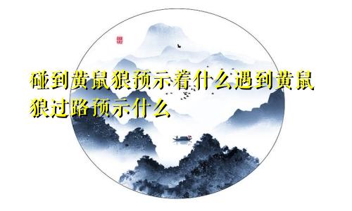 碰到黄鼠狼预示着什么遇到黄鼠狼过路预示什么