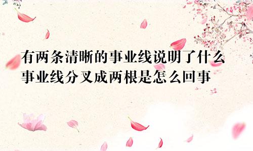 有两条清晰的事业线说明了什么事业线分叉成两根是怎么回事