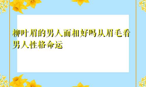 柳叶眉的男人面相好吗从眉毛看男人性格命运
