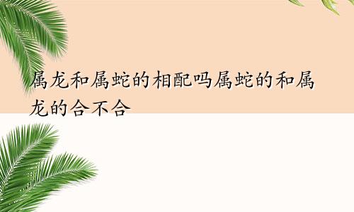 属龙和属蛇的相配吗属蛇的和属龙的合不合