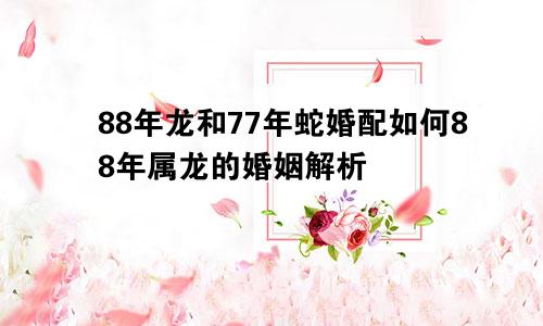 88年龙和77年蛇婚配如何88年属龙的婚姻解析