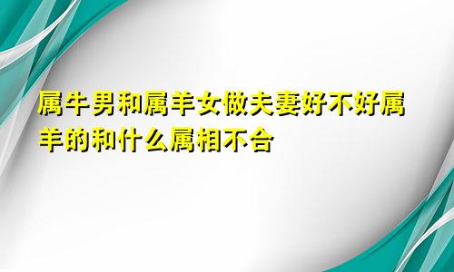 属牛男和属羊女做夫妻好不好属羊的和什么属相不合