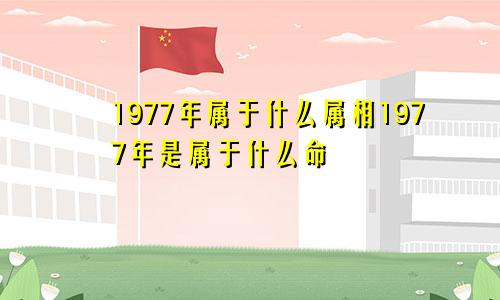 1977年属于什么属相1977年是属于什么命