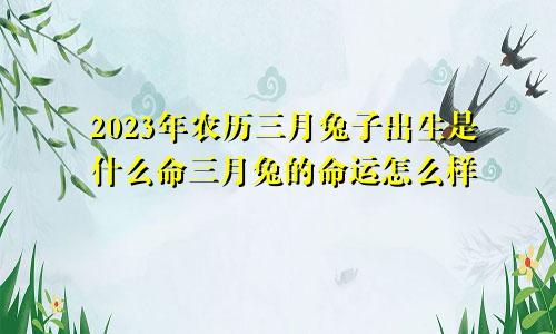 2023年农历三月兔子出生是什么命三月兔的命运怎么样