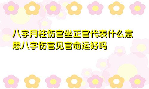 八字月柱伤官坐正官代表什么意思八字伤官见官命运好吗