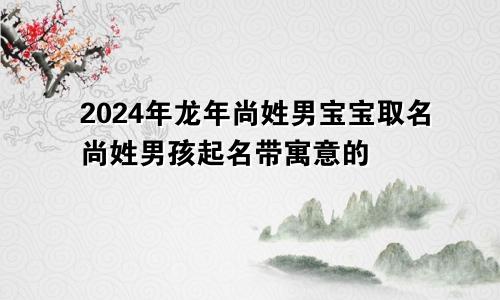 2024年龙年尚姓男宝宝取名尚姓男孩起名带寓意的