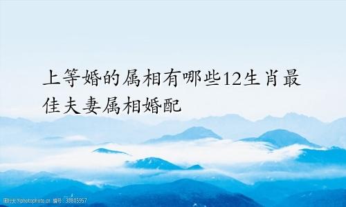 上等婚的属相有哪些12生肖最佳夫妻属相婚配