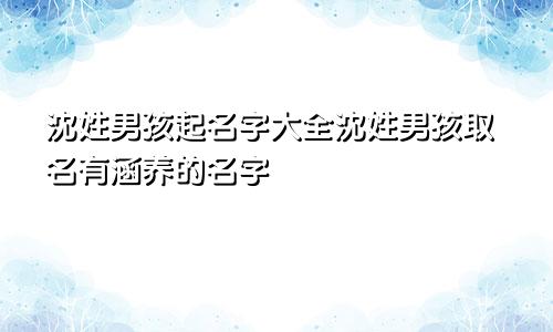 沈姓男孩起名字大全沈姓男孩取名有涵养的名字