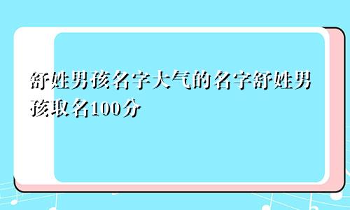 舒姓男孩名字大气的名字舒姓男孩取名100分