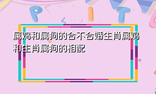 属鸡和属狗的合不合婚生肖属鸡和生肖属狗的相配