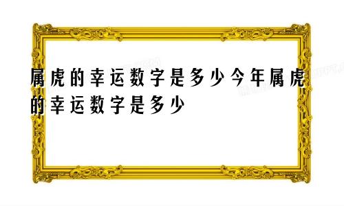 属虎的幸运数字是多少今年属虎的幸运数字是多少