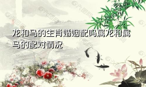 龙和马的生肖婚姻配吗属龙和属马的配对情况