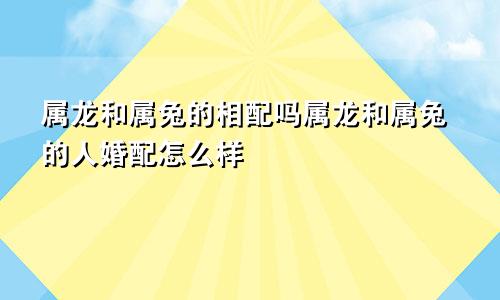 属龙和属兔的相配吗属龙和属兔的人婚配怎么样