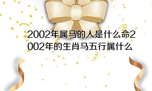 2002年属马的人是什么命2002年的生肖马五行属什么