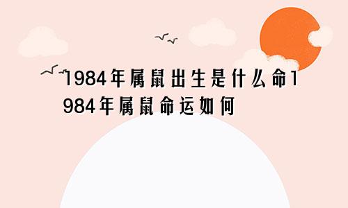 1984年属鼠出生是什么命1984年属鼠命运如何