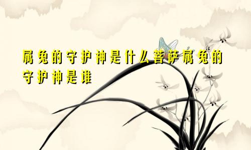 属兔的守护神是什么菩萨属兔的守护神是谁