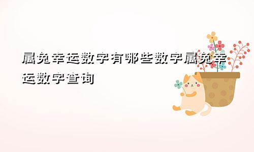 属兔幸运数字有哪些数字属兔幸运数字查询