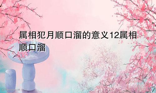 属相犯月顺口溜的意义12属相顺口溜