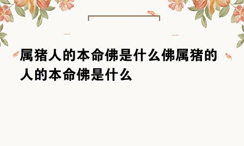 属猪人的本命佛是什么佛属猪的人的本命佛是什么