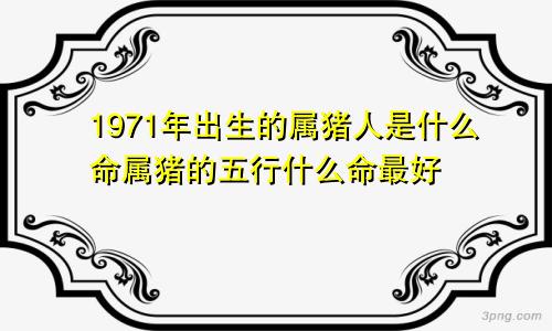 1971年出生的属猪人是什么命属猪的五行什么命最好