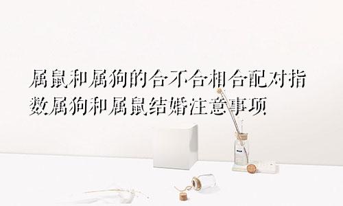 属鼠和属狗的合不合相合配对指数属狗和属鼠结婚注意事项