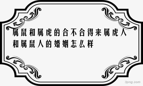 属鼠和属虎的合不合得来属虎人和属鼠人的婚姻怎么样