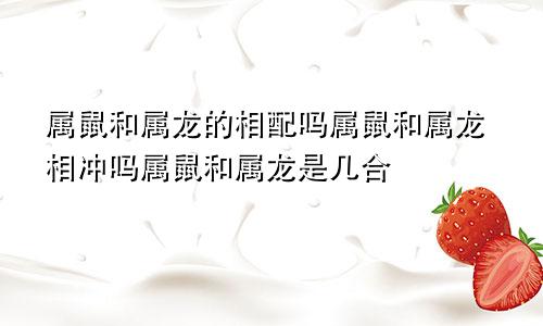 属鼠和属龙的相配吗属鼠和属龙相冲吗属鼠和属龙是几合