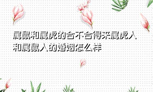 属鼠和属虎的合不合得来属虎人和属鼠人的婚姻怎么样