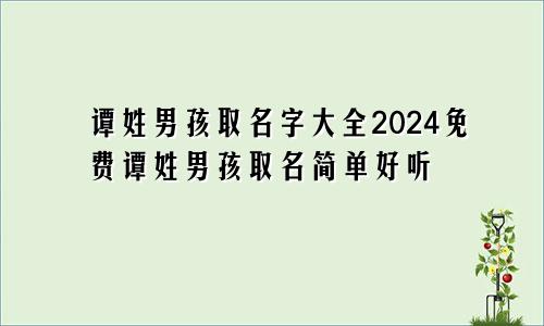 谭姓男孩取名字大全2024免费谭姓男孩取名简单好听