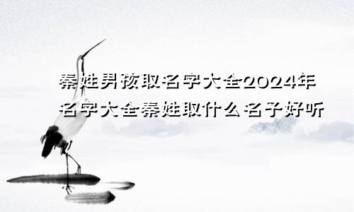 秦姓男孩取名字大全2024年名字大全秦姓取什么名子好听