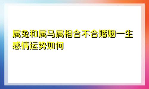 属兔和属马属相合不合婚姻一生感情运势如何