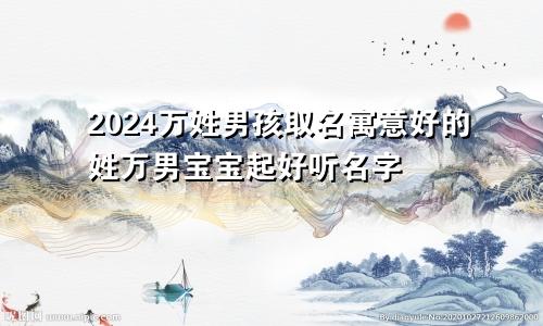 2024万姓男孩取名寓意好的姓万男宝宝起好听名字