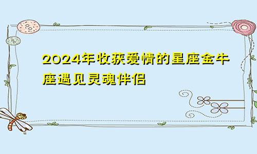 2024年收获爱情的星座金牛座遇见灵魂伴侣