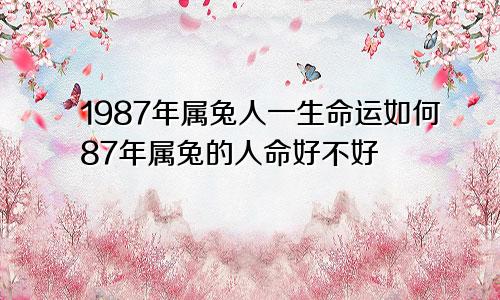 1987年属兔人一生命运如何87年属兔的人命好不好