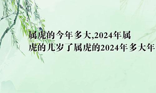 属虎的今年多大,2024年属虎的几岁了属虎的2024年多大年龄