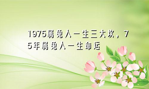 1975属兔人一生三大坎，75年属兔人一生命运