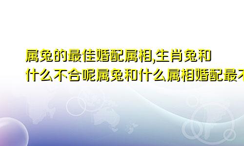 属兔的最佳婚配属相,生肖兔和什么不合呢属兔和什么属相婚配最不好