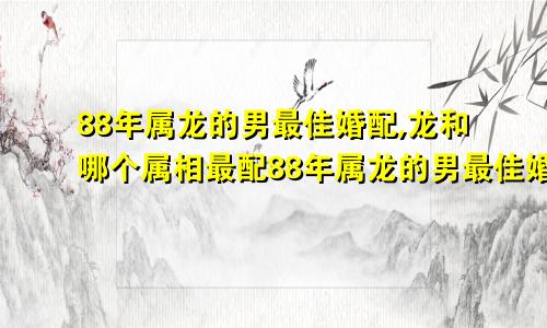 88年属龙的男最佳婚配,龙和哪个属相最配88年属龙的男最佳婚配,龙和哪个属相最配对